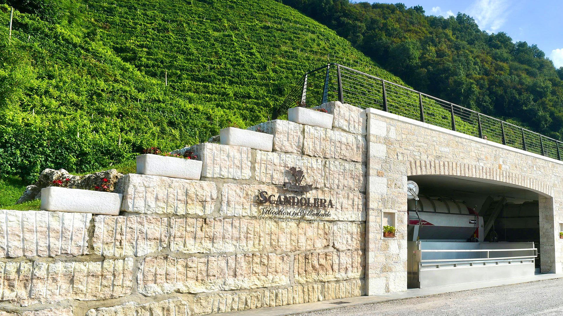 Scandolera winery in Vidor