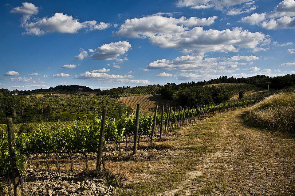 Pietro Beconcini winery in San Miniato