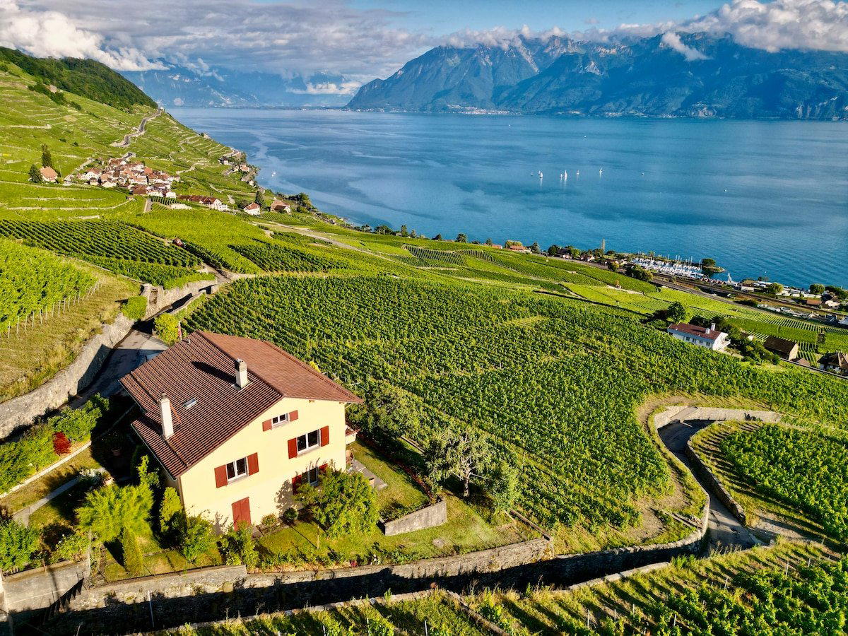 180°Süd winery in Frick