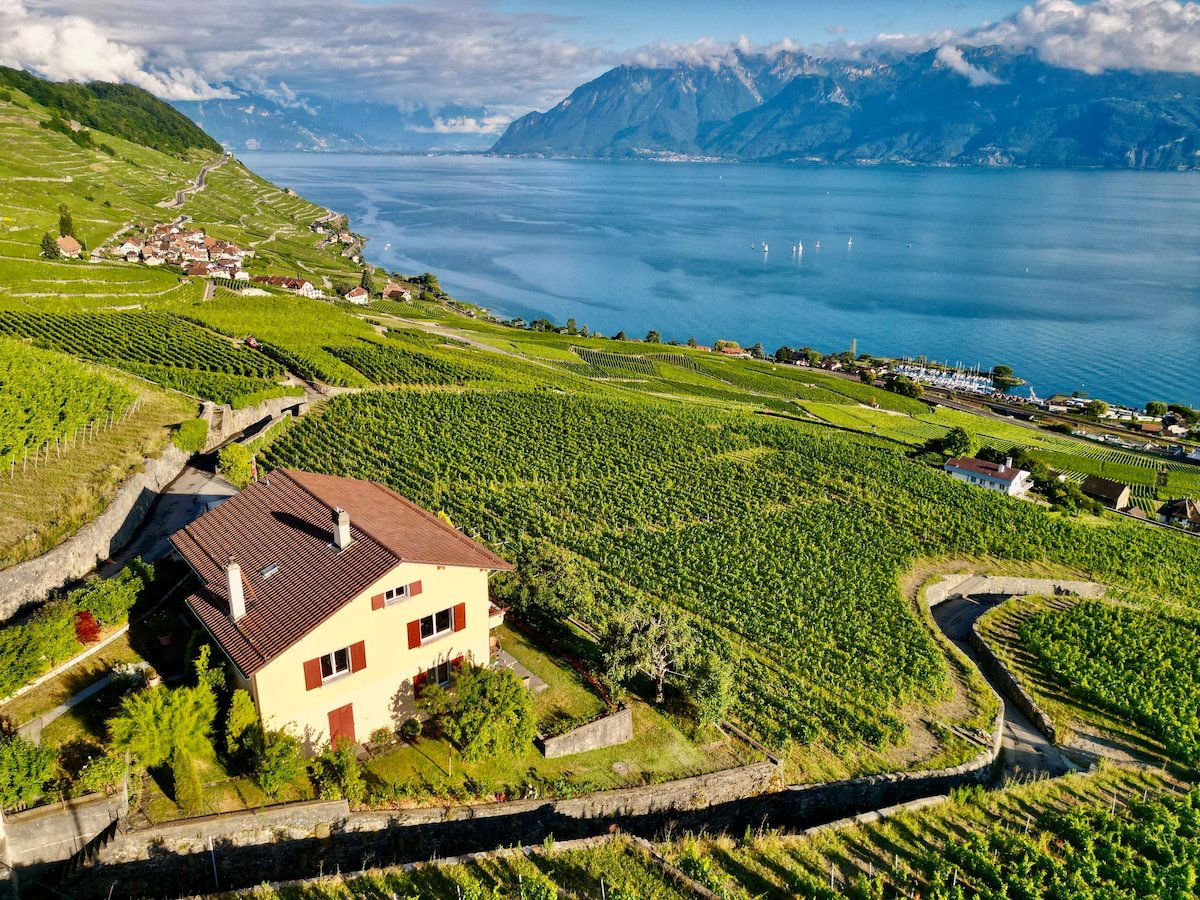 180°Süd, Winery in Frick