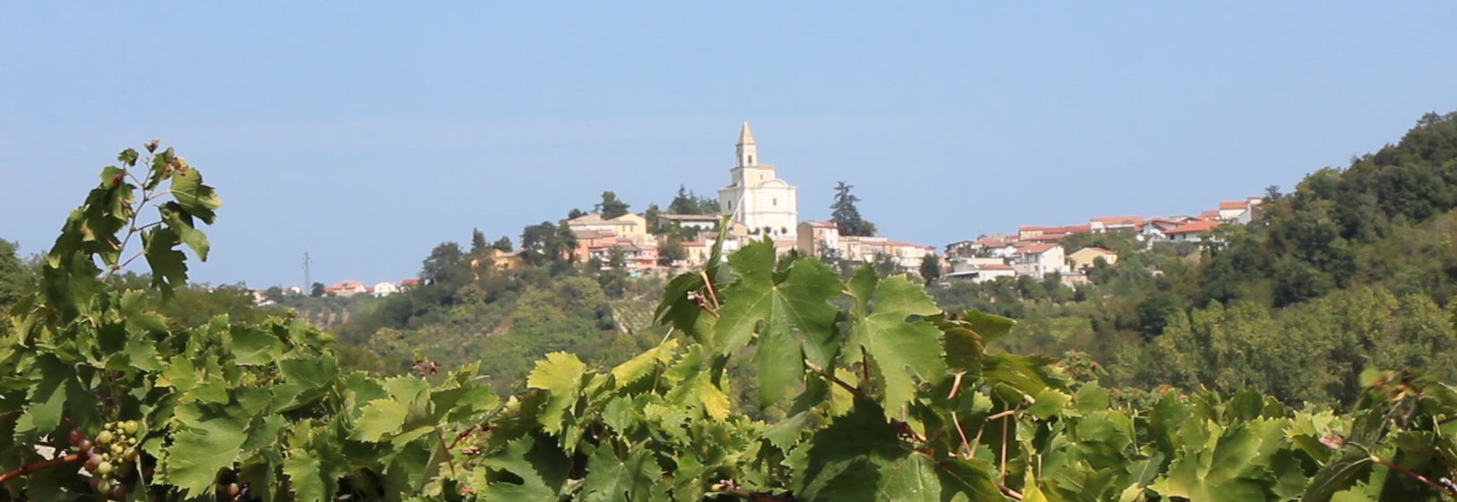 Cantina Tollo