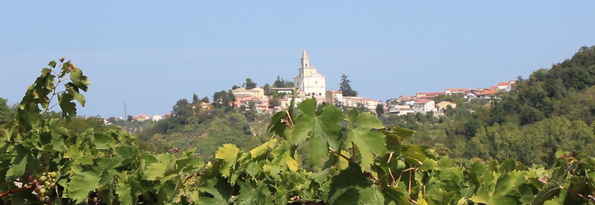 Cantina Tollo