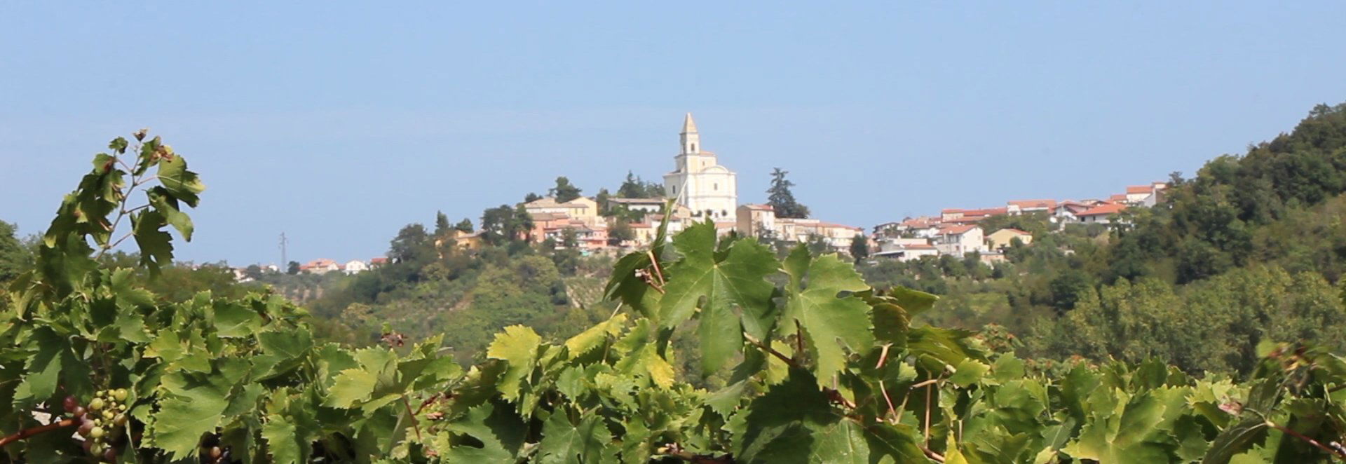 Cantina Tollo, Winery in Tollo