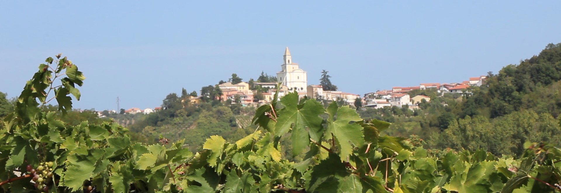 Cantina Tollo winery in Tollo