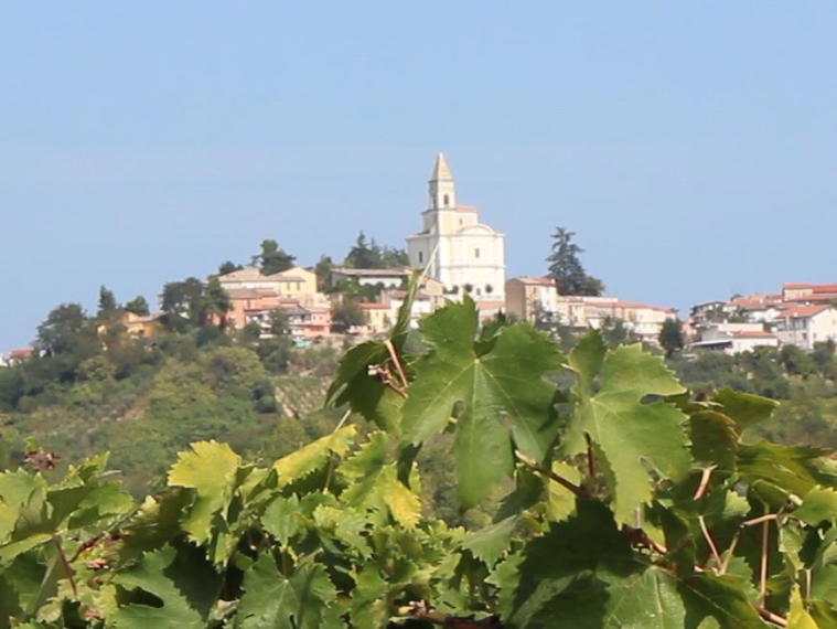 Cantina Tollo, Tollo, Italy