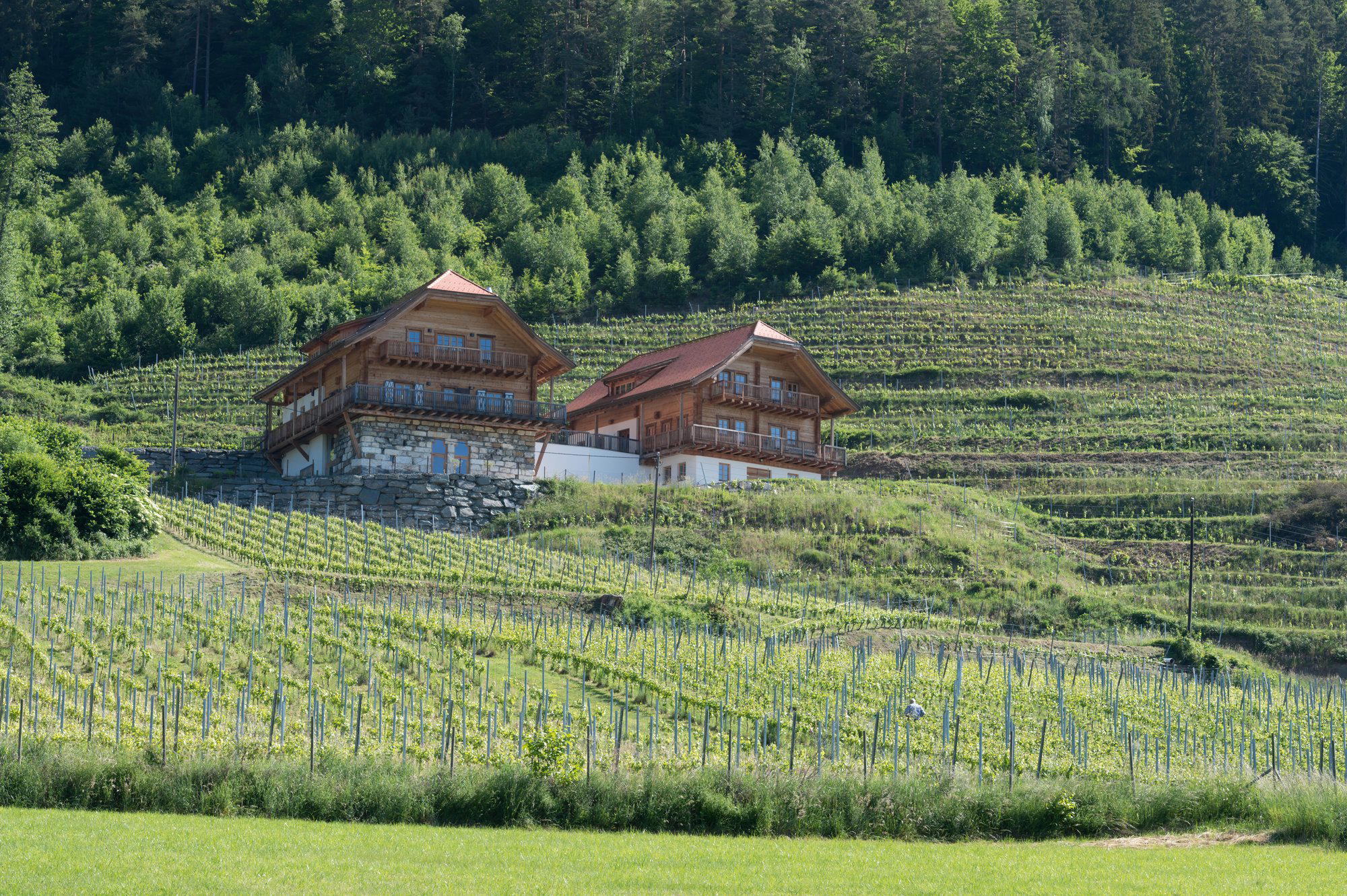 Weingut Karnburg winery in Klagenfurt