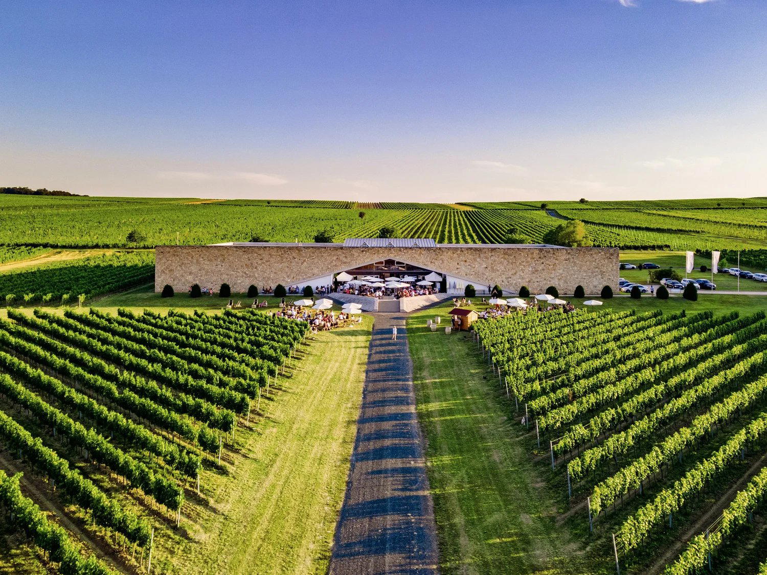 Eichenwald Weine winery in Horitschon