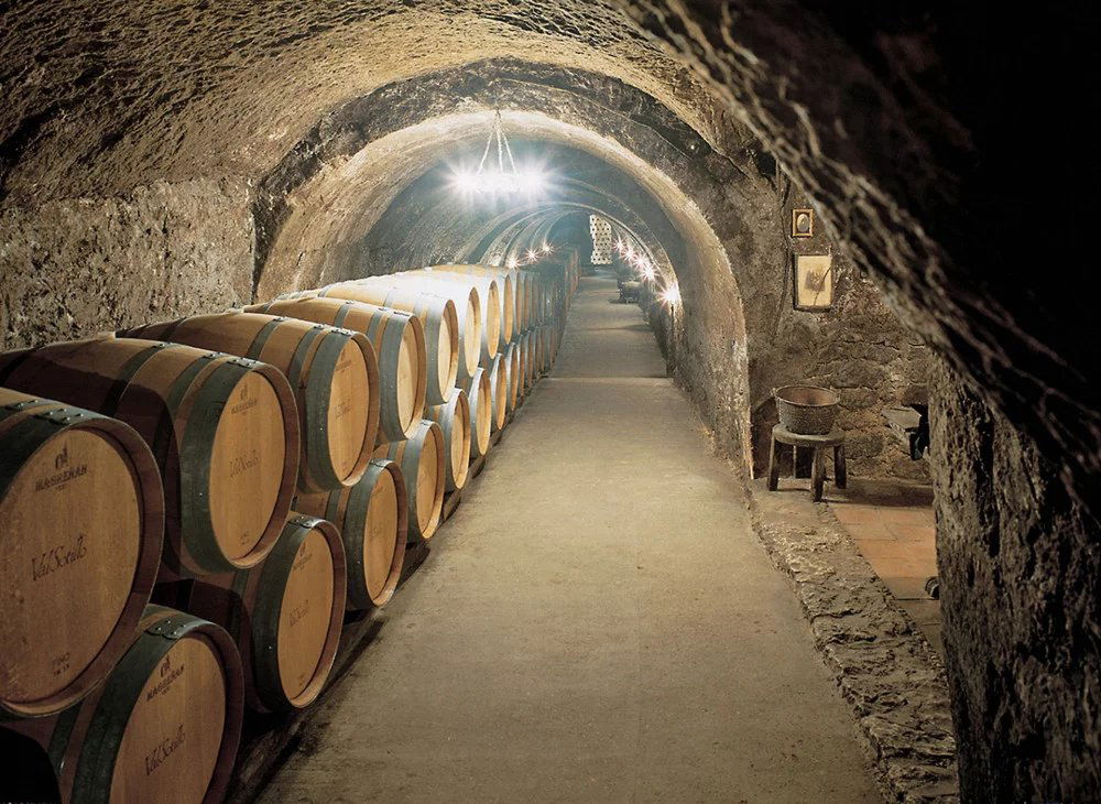 Bodegas Ismael Arroyo, Winery in Sotillo De La Ribera