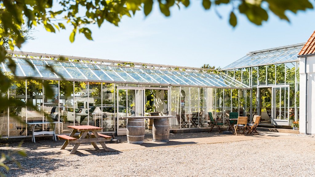 Glenholm Vingård, Ranum, Denmark