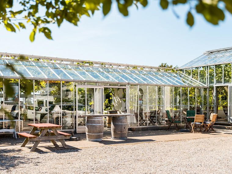 Glenholm Vingård, Ranum, Denmark