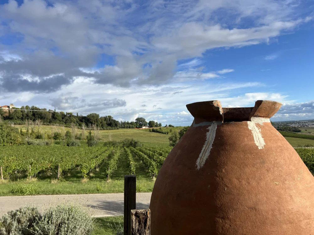 Tenuta La Viola winery in Bertinoro