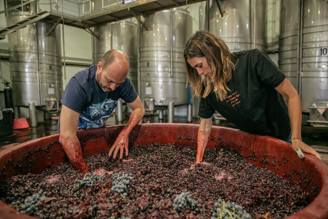 Bodegas Bernabé Navarro
