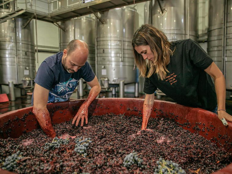 Bodegas Bernabé Navarro, Villena, Spain