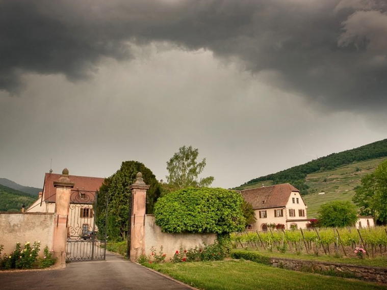 Domaine Weinbach, Kaysersberg, France