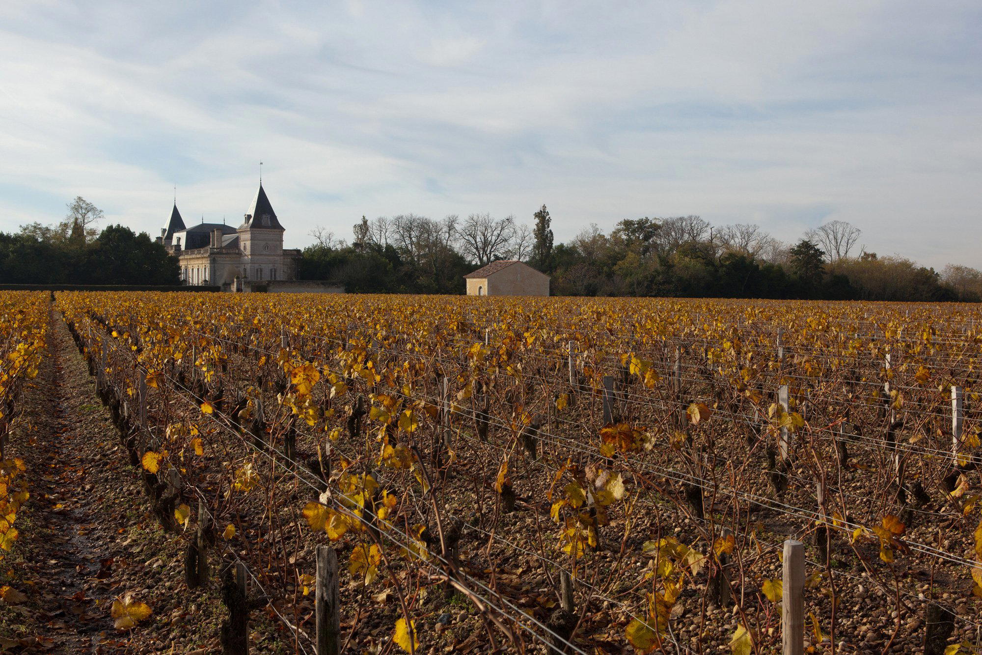Château Tronquoy-Lalande, Saint-Estèphe, France