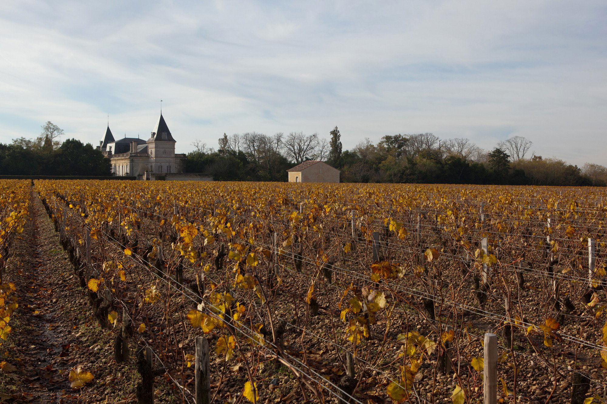 Château Tronquoy-Lalande, Winery in Saint-Estèphe