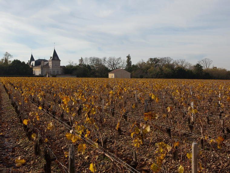 Château Tronquoy-Lalande, Saint-Estèphe, France
