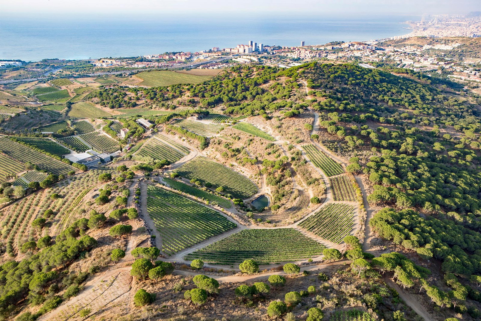Alta Alella, Alella, Spain