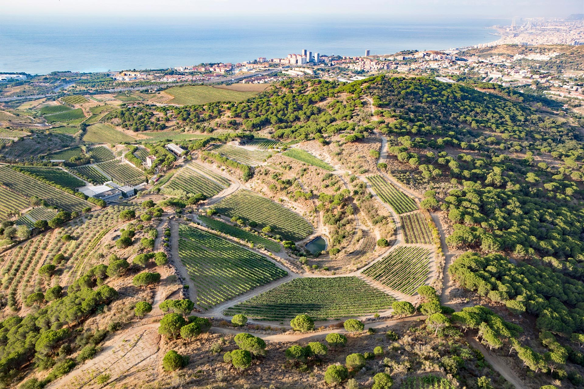 Alta Alella, Alella, Spain
