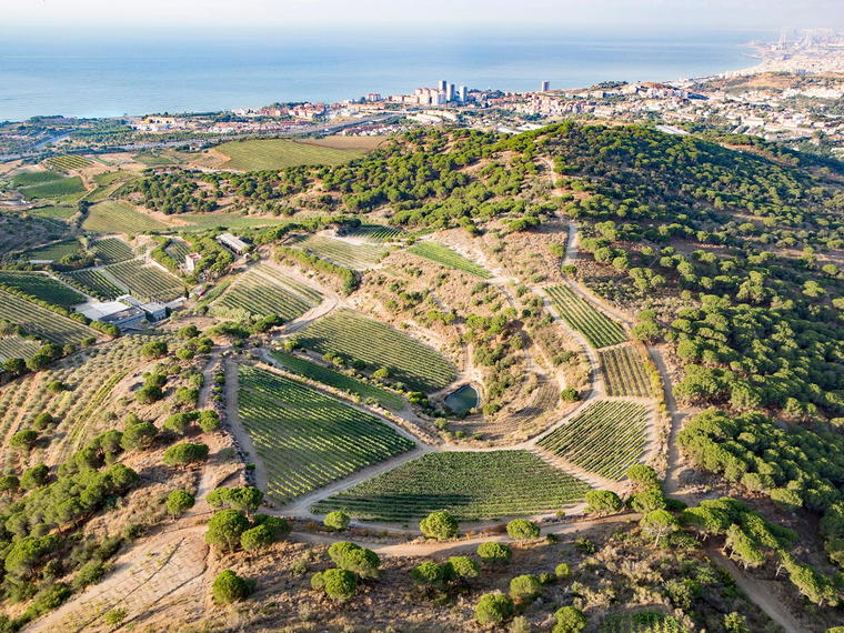 Alta Alella, Alella, Spain