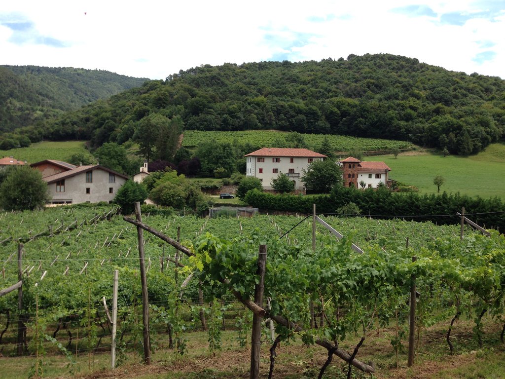 Altemasi