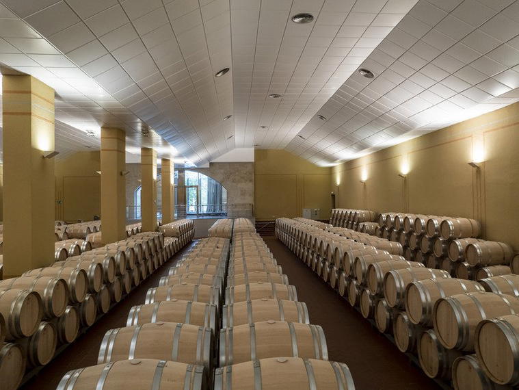 Bodegas Alión, Penafiel Padilla De Duero, Spain