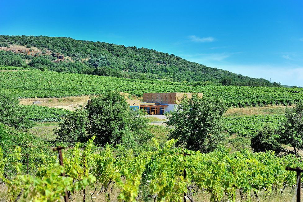 Domaine Allegria, Winery in Caux