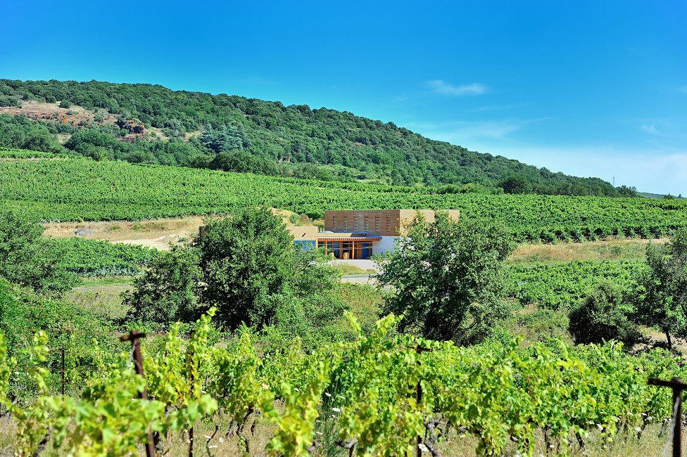 Domaine Allegria winery in Caux