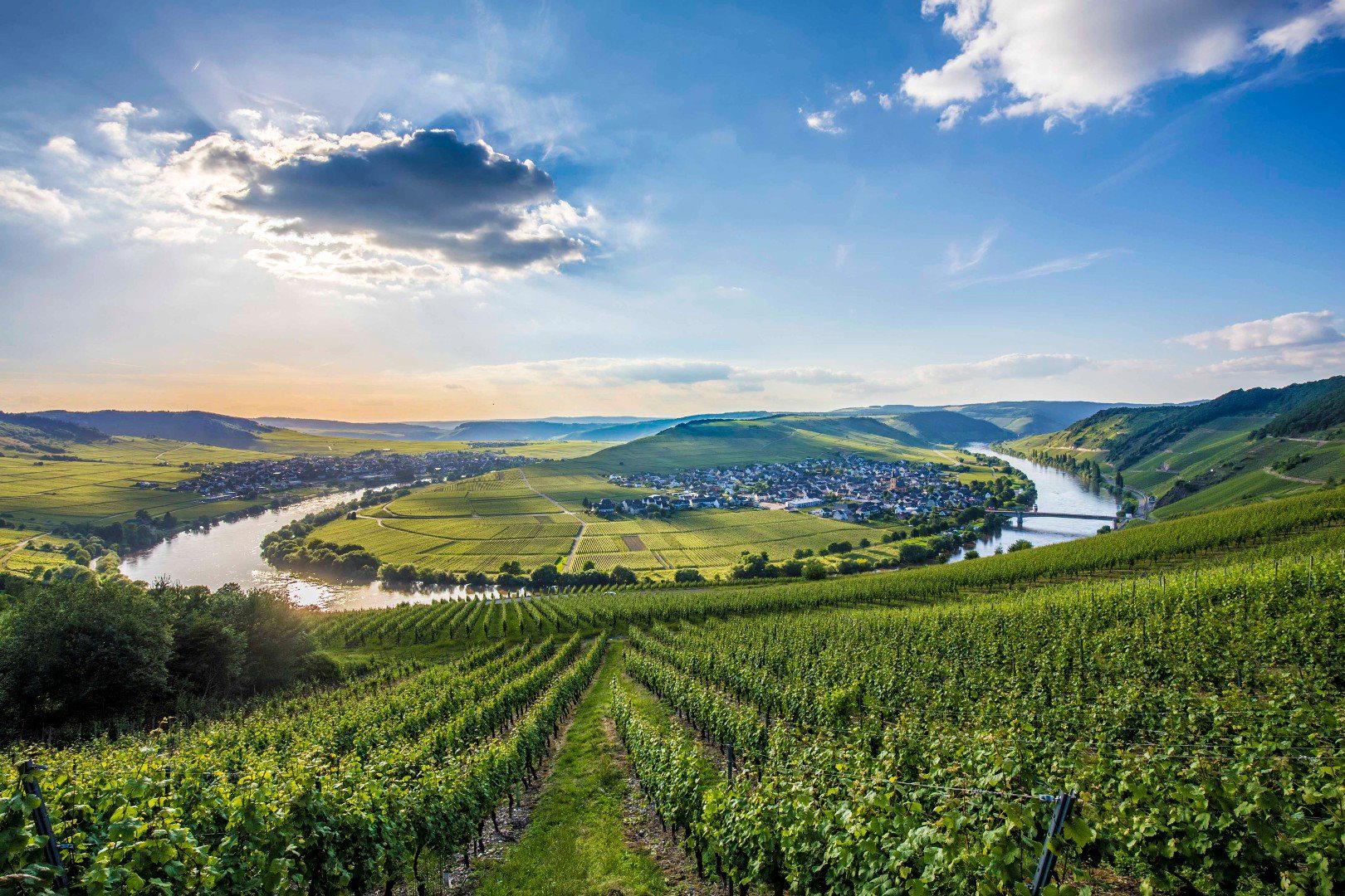 Weingut Lütz winery in Pünderich, Germany