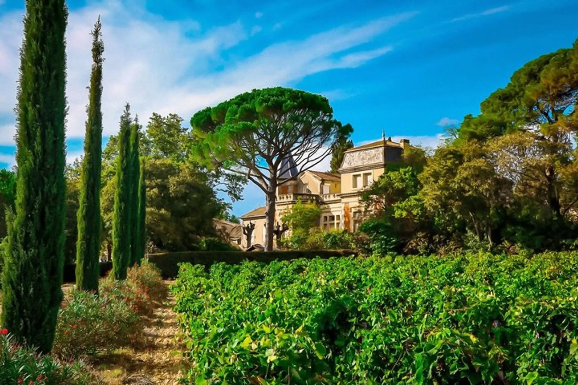 Chateau Fortia, Winery in Châteauneuf-du-Pape