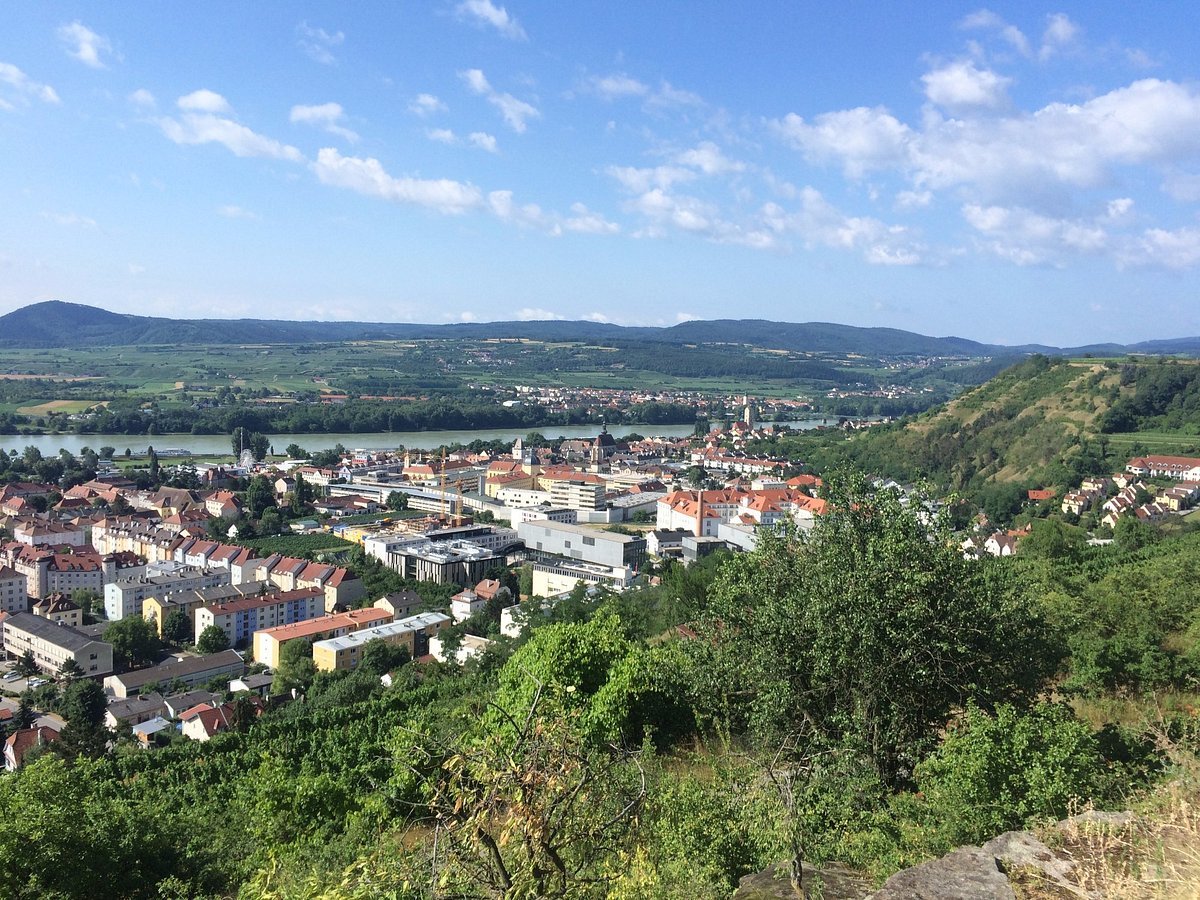 Bioweingut Jakob