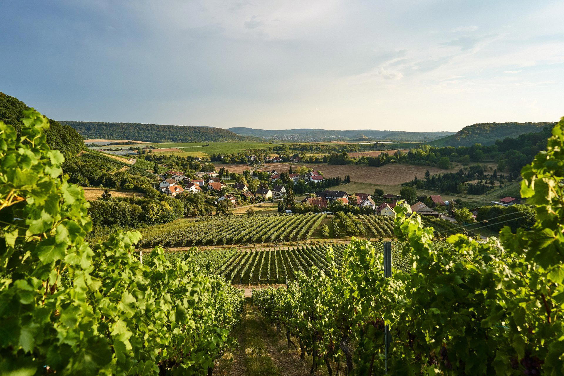 Weingut Breuninger winery in Eberstadt