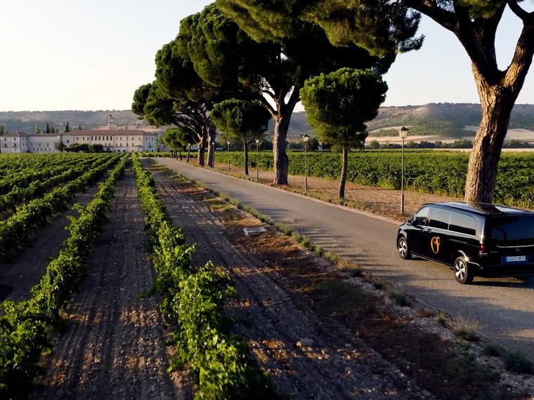 Bodegas La Tapada, S.a.t., Orense, Spain