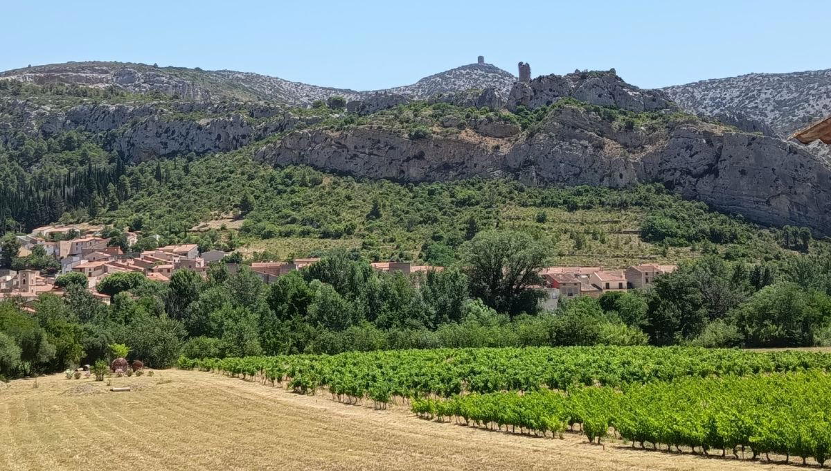 Domaine Piquemal, Espira De L Agly, France