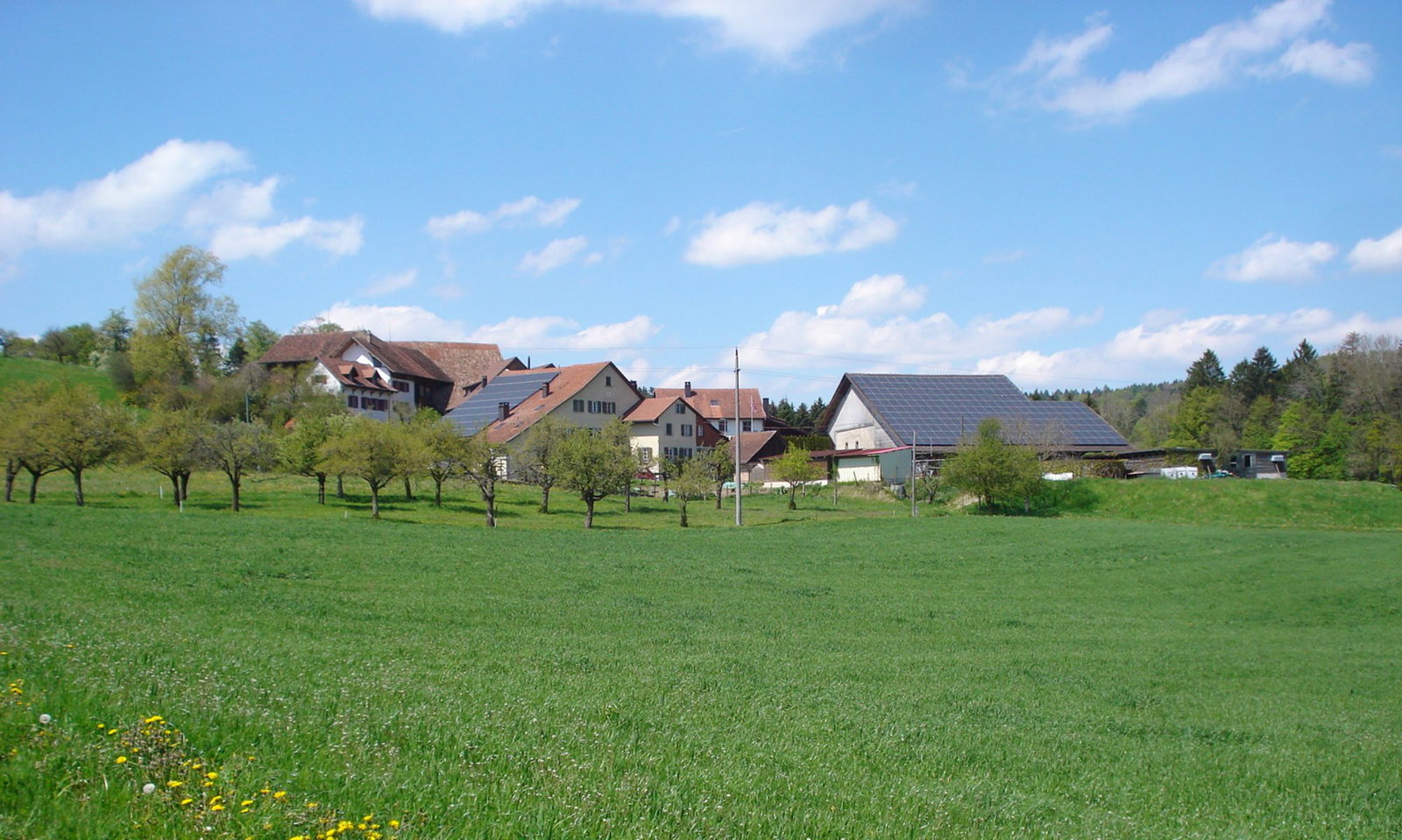 Güttis Buurehof, Neftenbach, Switzerland