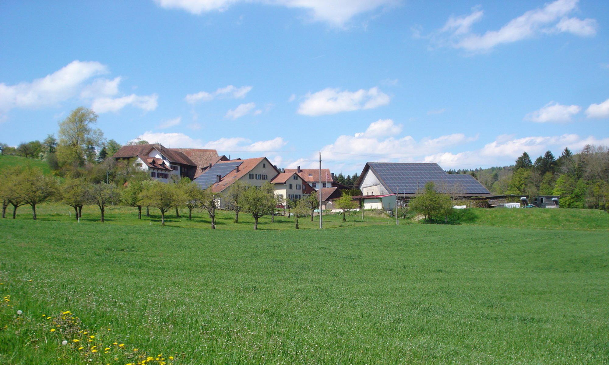 Güttis Buurehof, Neftenbach, Switzerland