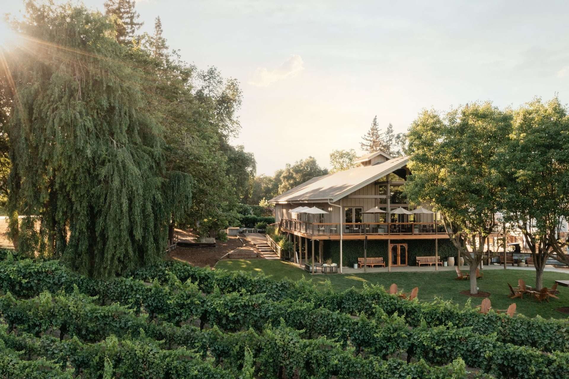 Bogle Vineyards, Winery in Clarksburg