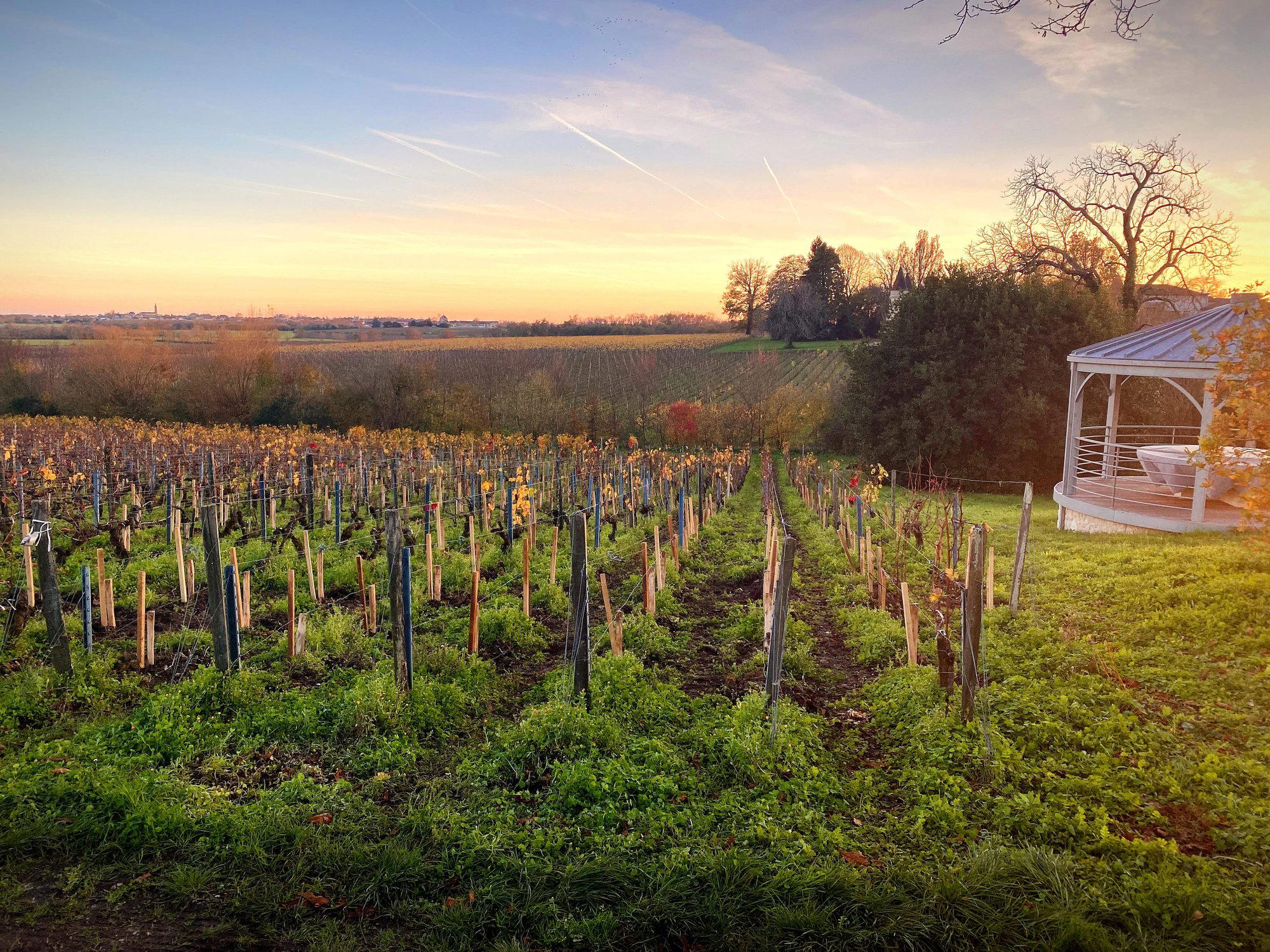Domaine Andron, Saint Seurin De Cadourne, France