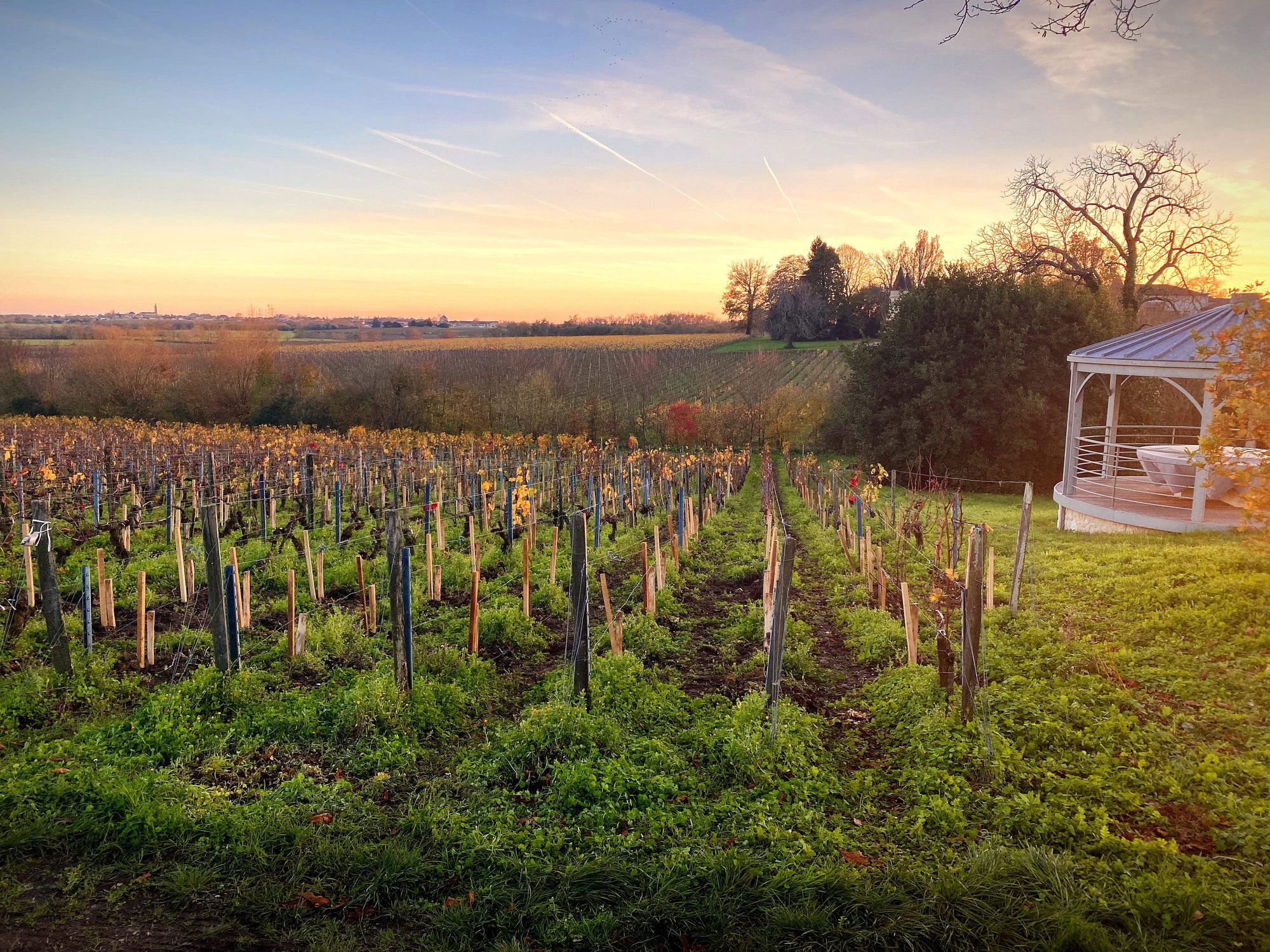 Domaine Andron, Winery in Saint Seurin De Cadourne