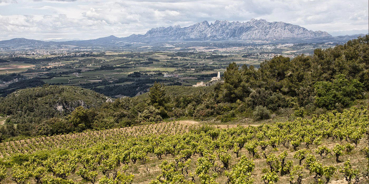 Llopart winery in Subirats