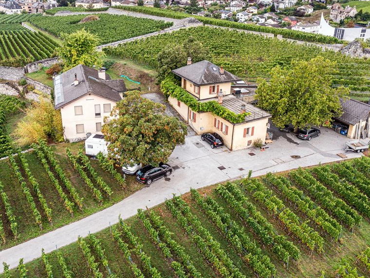 Cave de Goubing, Sierre, Switzerland