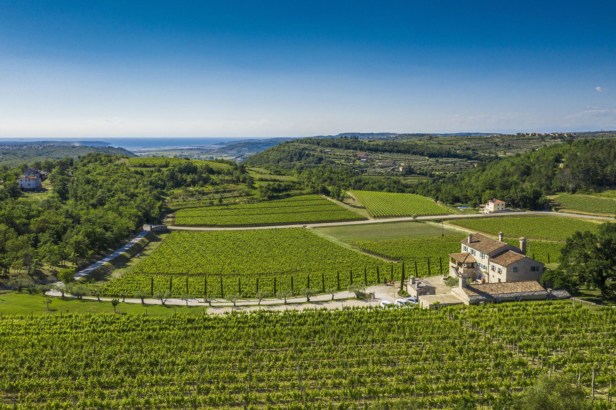 Kabola Winery, Winery in Buje