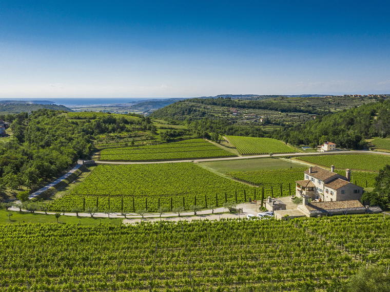 Kabola Winery, Buje, Croatia