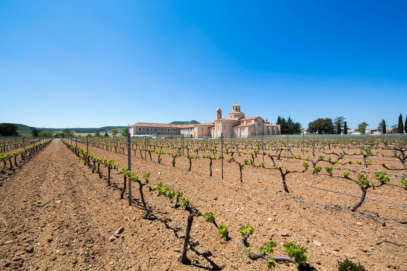 3 Ases Bodegas y Viñedos