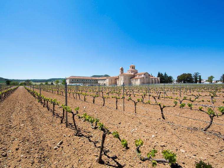 3 Ases Bodegas y Viñedos, Quintanilla De Arriba, Spain