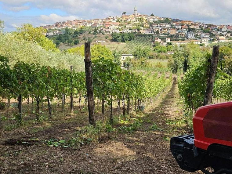 Borgodangelo, Sant'Angelo All'Esca, Italy