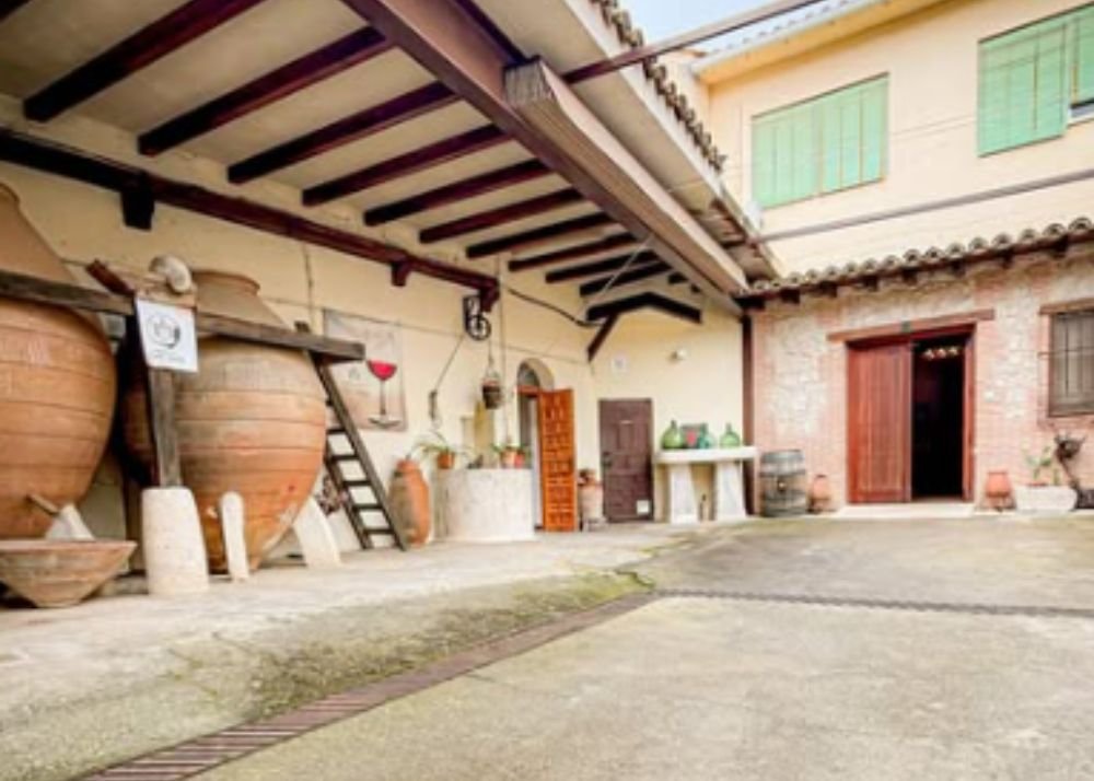 Bodegas y Viñedos Pedro García, Colmenar De Oreja, Spain