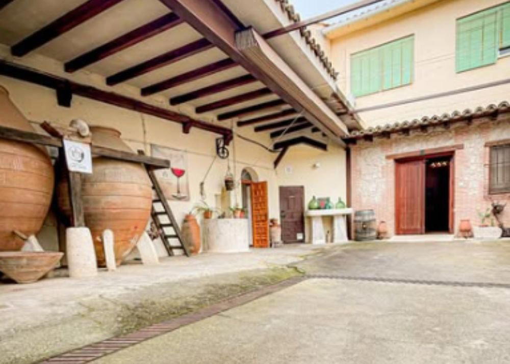 Bodegas y Viñedos Pedro García winery in Colmenar De Oreja