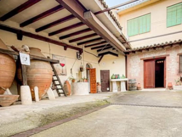 Bodegas y Viñedos Pedro García, Colmenar De Oreja, Spain