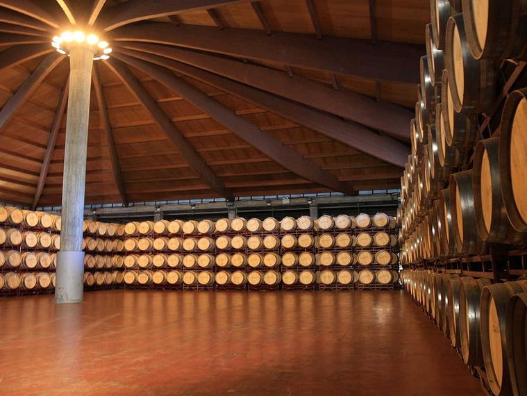 Bodegas Y Viñedos Alnardo S.L., Quintanilla de Onésimo, Spain
